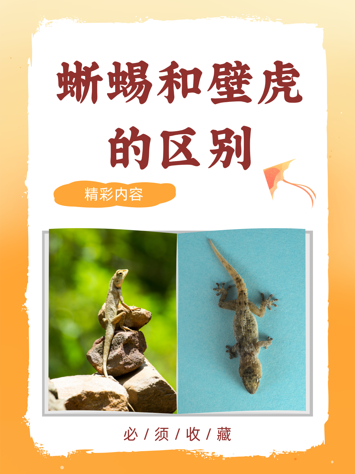 包含与属于的区别