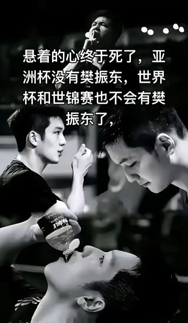 纵情热血搏击！一场体育盛宴引人期待的简单介绍